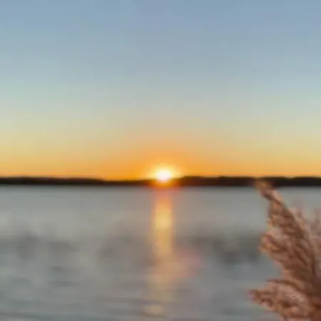 El Olivo * Пуигморено