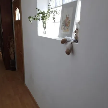 Apartment El Olivo Puigmoreno