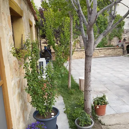 El Olivo Пуигморено